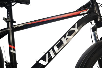 Xe đạp Vicky của nước nào? Có những dòng xe nào cho bạn?