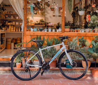 Xe Đạp California Của Nước Nào? Tìm Hiểu Về Xuất Xứ Và Lịch Sử