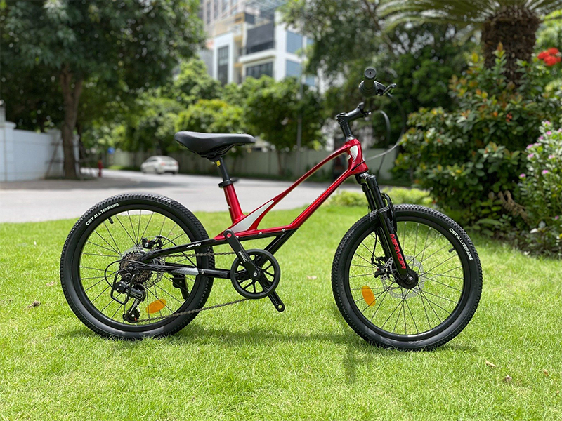 Xe đạp 20 inch Miamor Jupiter năng động, cá tính