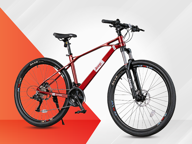 Xe đạp địa hình phuộc giảm lò xo dầu nâng cấp