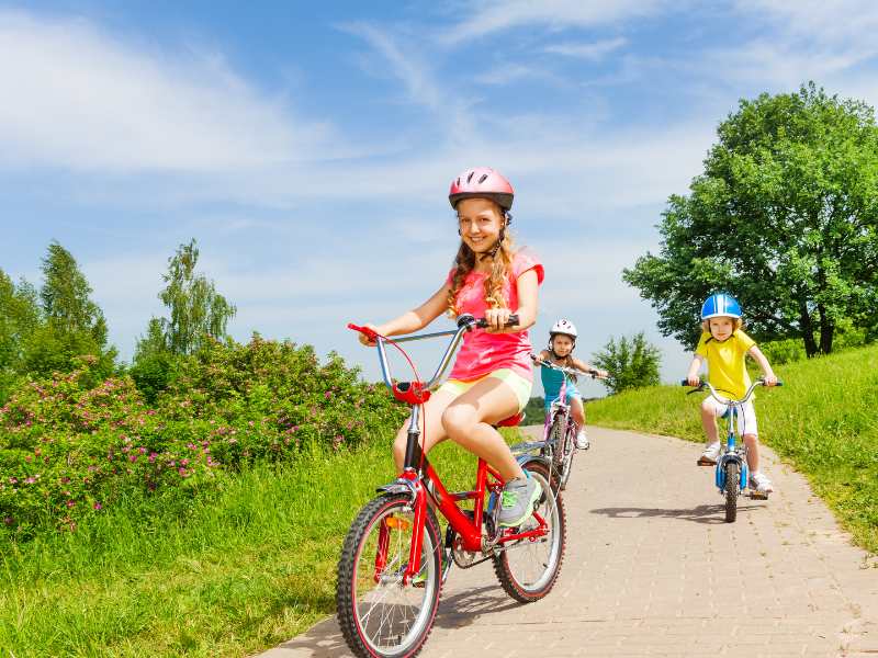 Xe Đạp Phổ Thông Cho Học Sinh Nữ Cấp 1