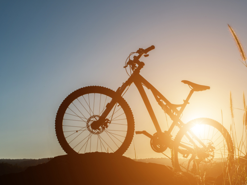 Xe đạp địa hình