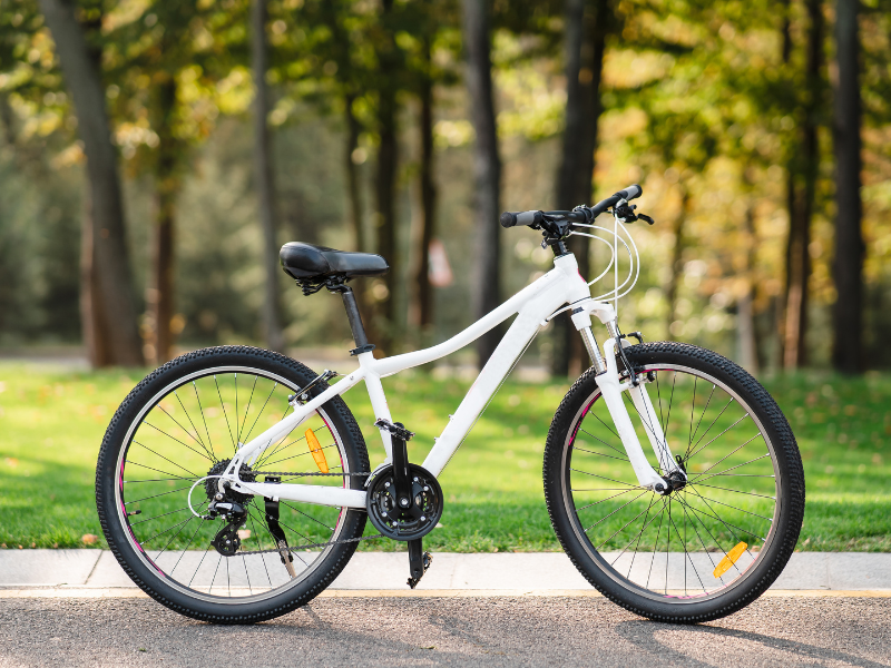 Xe đạp thể thao cho học sinh cấp 1