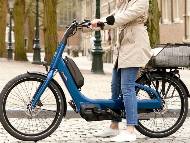 xe-dap-dien-danh-cho-hoc-sinh-cap-3