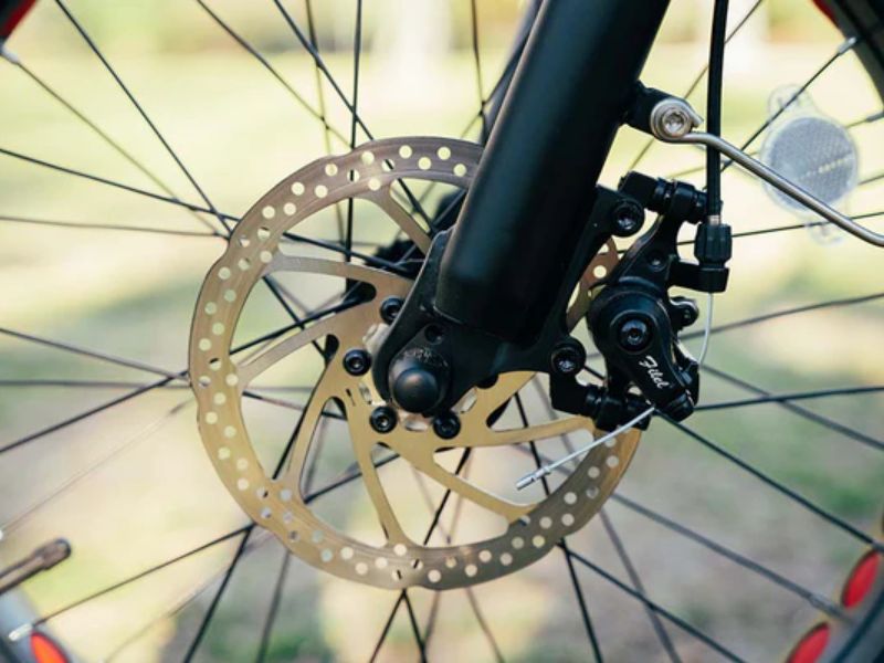 ngay-nay-phanh-dia-thuy-luc-duoc-ua-chuong-rong-rai