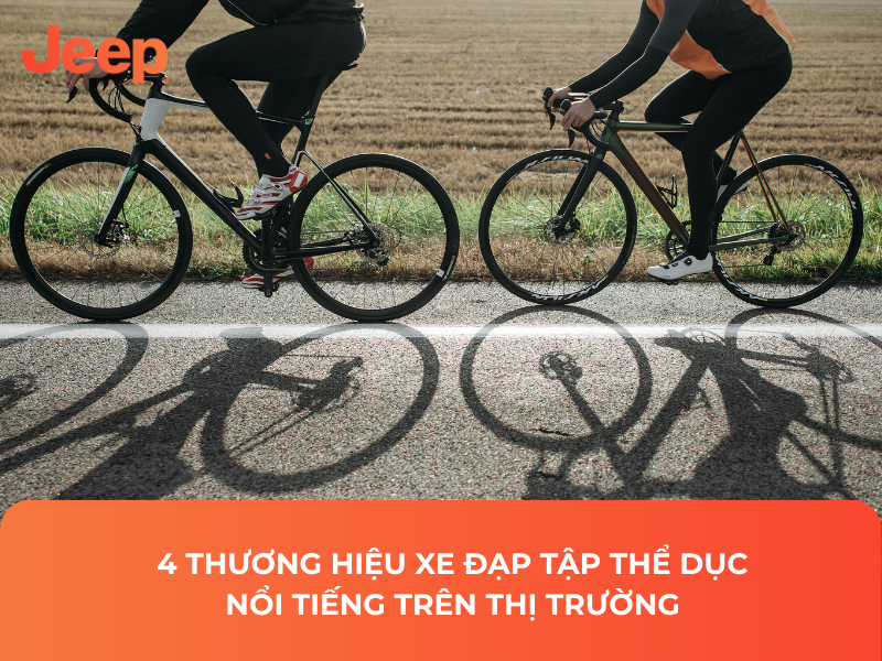 4 Thương Hiệu Xe Đạp Tập Thể Dục Nổi Tiếng Trên Thị Trường