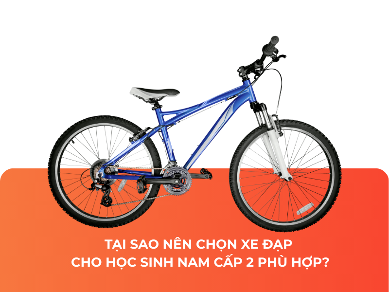 Tại Sao Nên Chọn Xe Đạp Cho Học Sinh Nam Cấp 2 Phù Hợp
