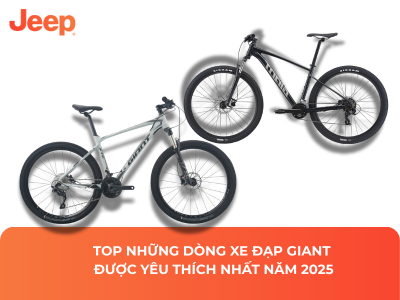 Top Những Dòng Xe Đạp Giant Được Yêu Thích Nhất Năm 2025
