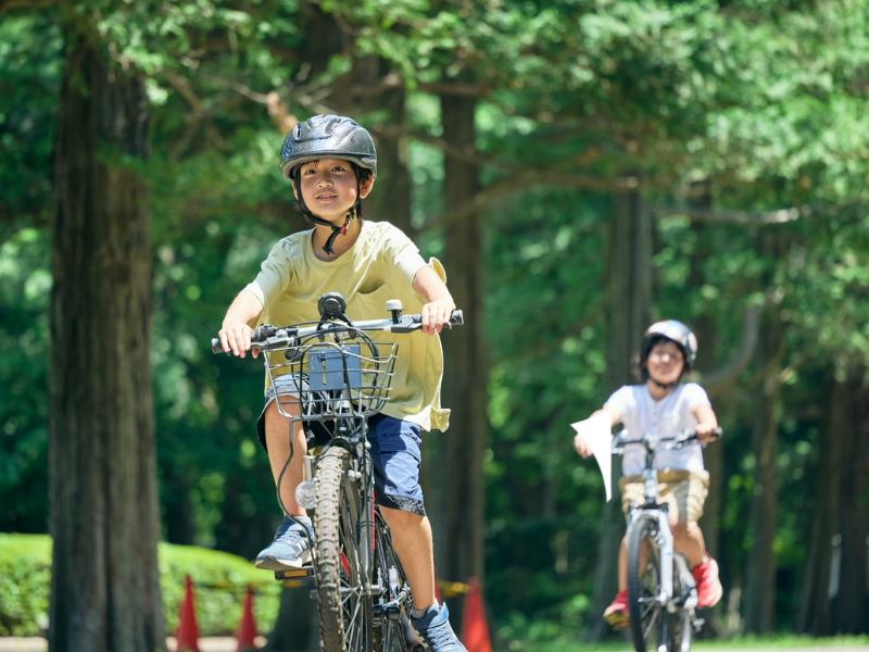 Xác định kích cỡ xe phù hợp